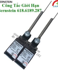 Công Tắc An Toàn Bernstein 618.6189.287