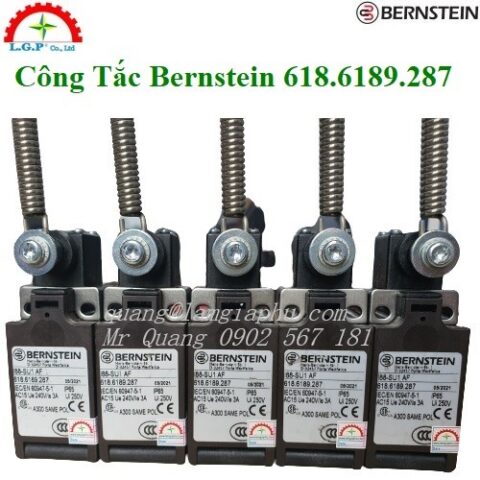 Công Tắc Bernstein 618.6189.287