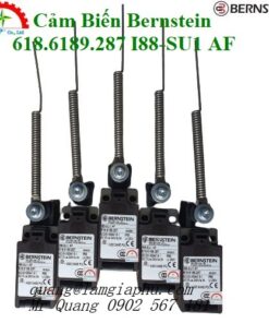Công tắc giới hạn Bernstein 618.6189.287