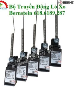 Cảm Biến Bernstein 618.6189.287