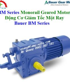 Động Cơ Giảm Tốc Một Ray Bauer BM Series