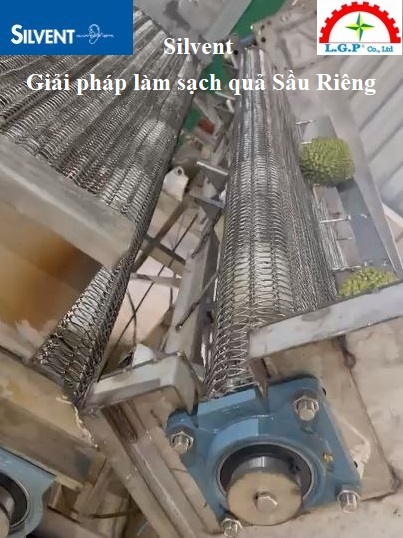 Khí nén làm sạch Sầu Riêng