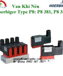 Van Khí Nén Hoerbiger Type P8
