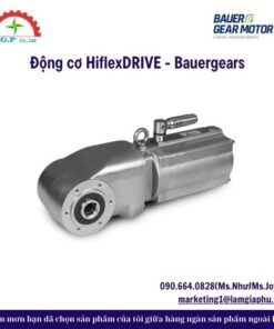 Động cơ HiflexDRIVE - Bauergears
