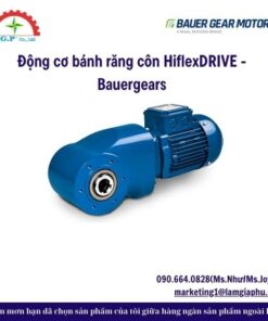 Động cơ bánh răng côn HiflexDRIVE - Bauergears