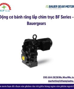 Động cơ bánh răng lắp chìm trục BF Series - Bauergears