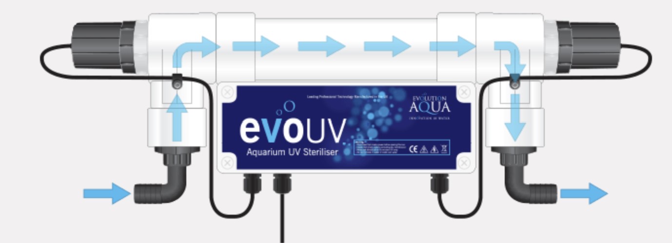 Cách thức hoạt động của evoUV