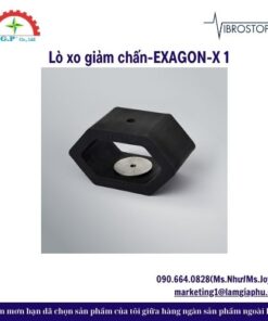 Lò xo giảm chấn-EXAGON-X 1