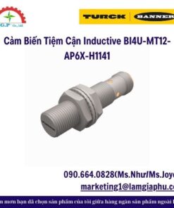Cảm Biến Tiệm Cận Inductive BI4U-MT12-AP6X-H1141