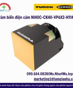 Cảm biến điện cảm NI40C-CK40-VP6X2-H1141