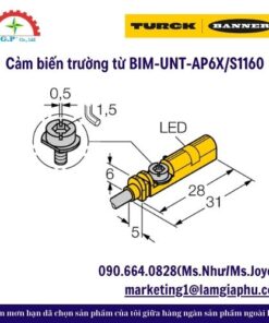 Cảm biến trường từ BIM-UNT-AP6X/S1160