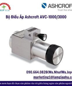 Bộ Điều Áp Ashcroft AVC-1000/3000