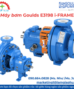 Máy bơm Goulds E3198 i-FRAME