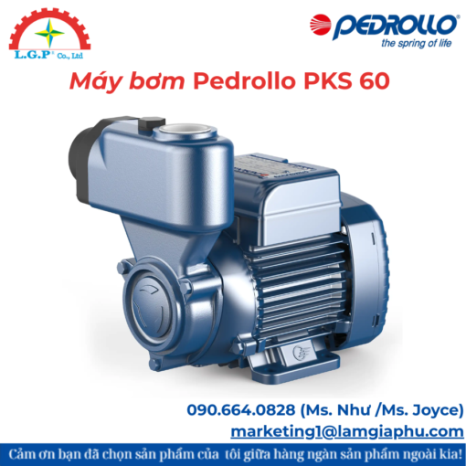 Máy bơm Pedrollo PKS 60