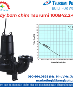 Máy bơm chìm Tsurumi 100B42.2-62