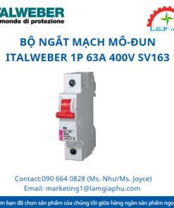 bo-ngat-mach-mo-dun-italweber-1p-63a-400v-sv163
